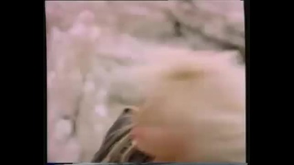 Doro Pesch Unholy Love