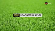 Головете на кръга (25 кръг, 10.03.2026)