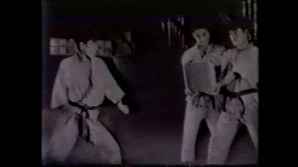 Karate - Kicks.avi