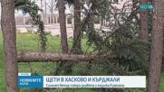 Паднали дървета и мазилки: Силният вятър нанесе щети в Хасково и Кърджали