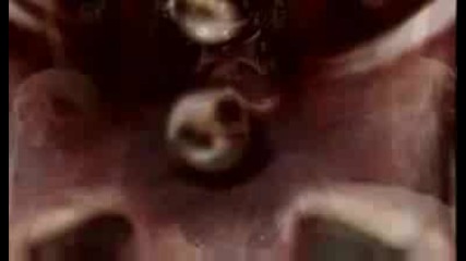 Wwe: Triple H Titantron (2009)