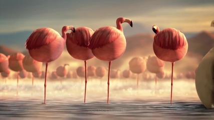 Какво щеше да стане ако животните бяха кръгли - Фламинго