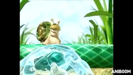 Bugs Race - Funny Animation 