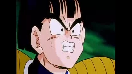 Dbz - 100