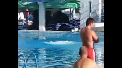 Скок Във Вода!