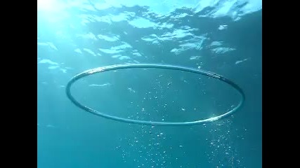 Готин подводен мехур