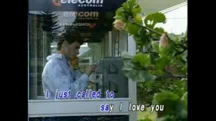 Stevie Wonder -I Just Called To Say I Love