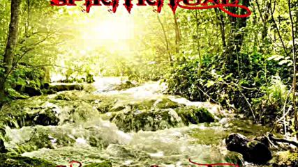 Spiritritual-stream of passion