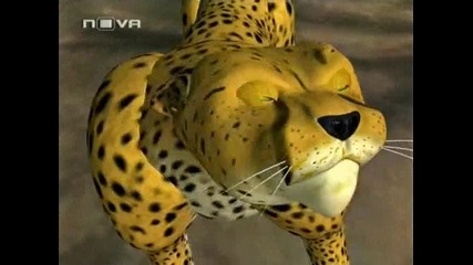 Beast Wars - ep09 bg audio