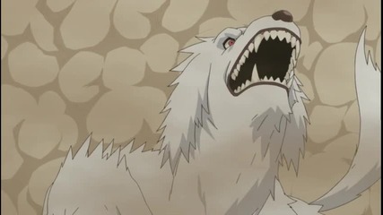Naruto Shippuuden 240