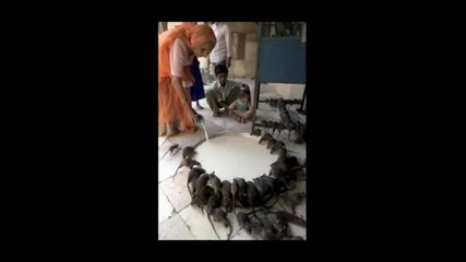 наи удивителните снимки част 6