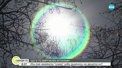 Какво е виртуалният аутизъм