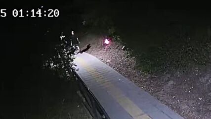 Съдът отхвърли споразумение за условна присъда на подполиия гората между „Бузлуджа“ и „Чолаковци"