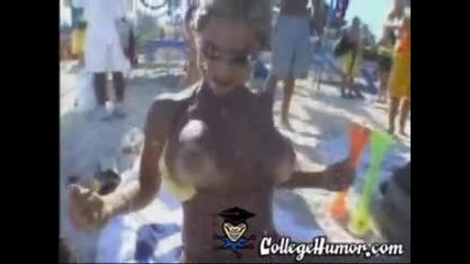 Jumping Tits