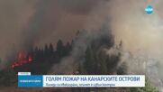 Голям пожар на Канарските острови, изгоряха къщи и хиляди декари гора