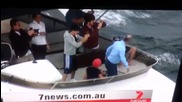 One Direction на яхта в Сидни