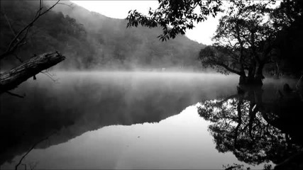 Tip Doris - Immersion (original Mix)