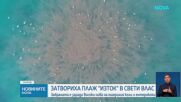 Затвориха плаж „Изток” в Свети Влас, водата е опасна за здравето