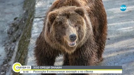 300 СРЕЩИ ОНЛАЙН: Разходка в столичния парк и по света