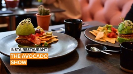 Insta Restaurant: This is the place that avocado lovers dream about