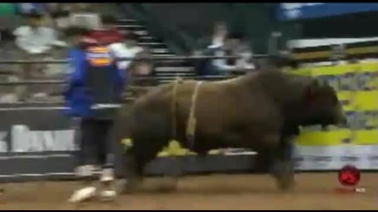 J.b. Mauney gets stepped on by Silver Wings 