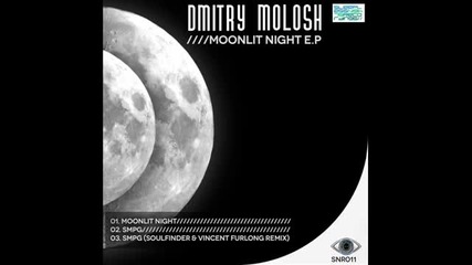 Dmitry Molosh - Smpg (original Mix) - Sleepless Nights Recor