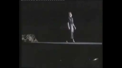 Chris Rea - Josephine 