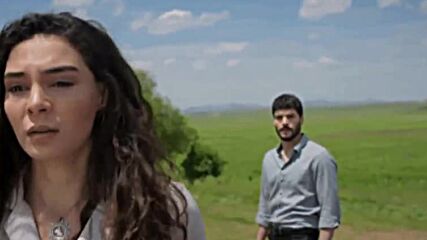Miran & Reyyan /hercai/ Dimash - Give me love