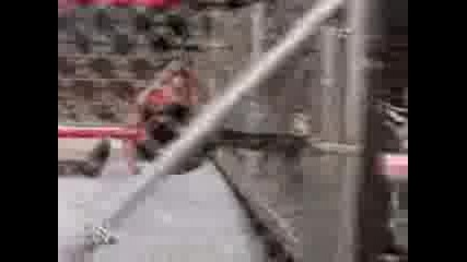 Wwe Taboo Tuesday 2004 - Ric Flair vs Randy Orton ( Steel Cage match ) 