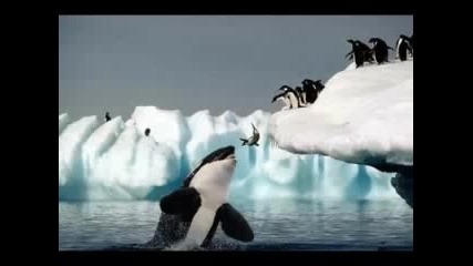 Top 20 Most Unbelievable Photos Part 1