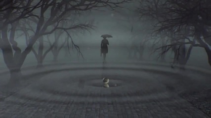 Echoes of Rain