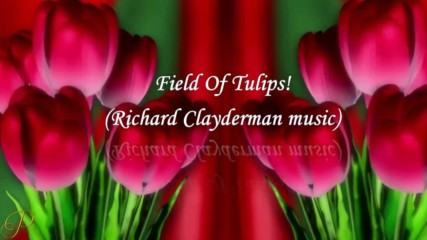 Поле от лалета! ... ( Richard Clayderman music) ...