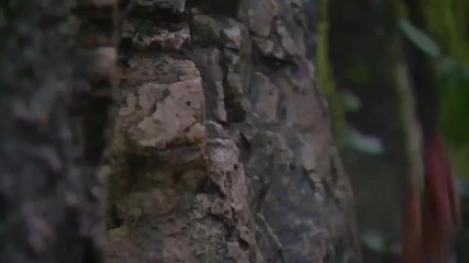 Hunt to Kill (trailer) . 