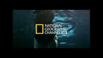 National Geographic Hd - Реклама