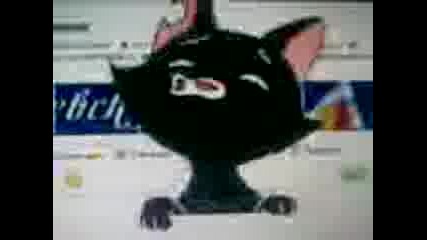 Коте