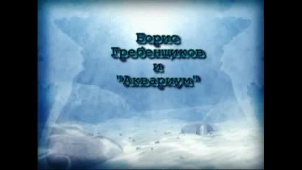 концерт Аквариума 1992 год