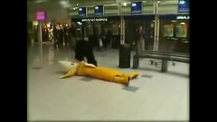 Banana Remi Gaillard