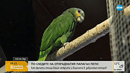 Щастлива развръзка за редкия папагал Пепо