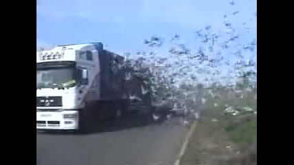 Освобождаване на Птици