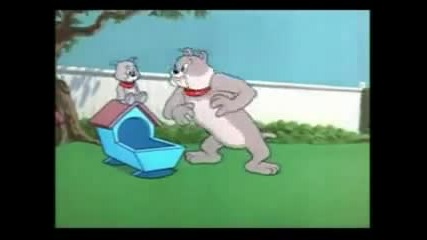 Tom and Jerry 5 Bg Parody