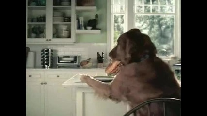 Sneaky Dog Pepsi Cola Commercial 