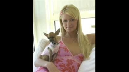 Paris Hilton - Hot