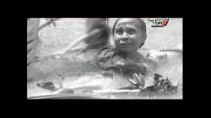 Trường Vũ - Trời Quê Mẹ