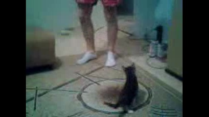 котетоо ми : 4