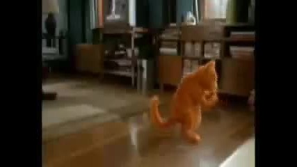 Garfield Dancing Reguetton Hq 