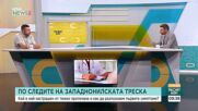 Има ли основания за притеснение в България от западнонилска треска