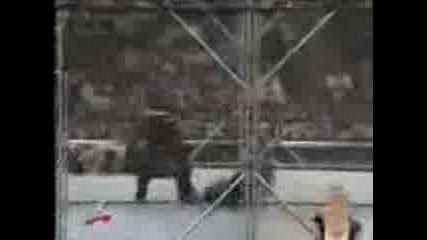 Wwf Survivor Series 2001 - Dudley Boyz vs Hardy Boyz ( Steel Cage Match ) For Unification Tag Team 