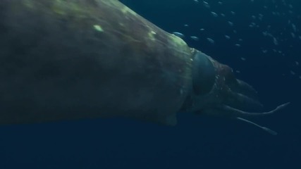 Under Water - Extreme Music - Hype Music