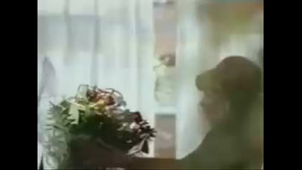 Top 10 funny commercials
