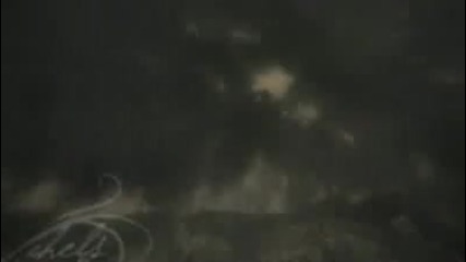 i thought i could fly - bella swan